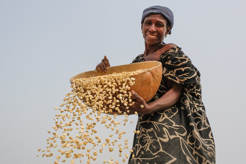 Woman cleaning maize in Ghana