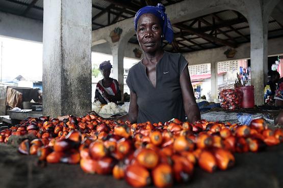 Vendor selling palm seed oil.  Photo credit: Nyani Quarmyne/IFC (Panos)