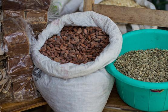 Cocoa and coffee in Nicaragua. By Adam Cohn